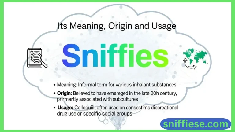 sniffies gay meaning