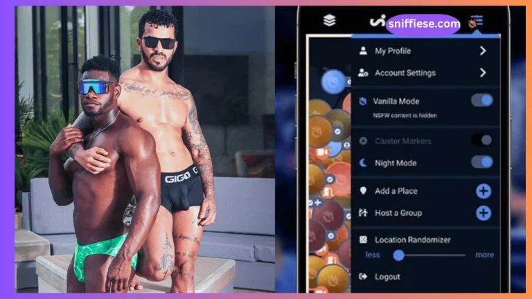 sniffies gay app